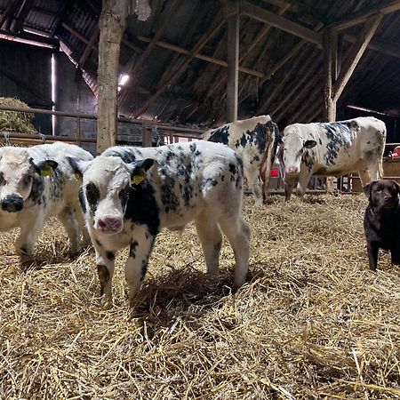 Het Karnhuis Schoondijke Esterno foto