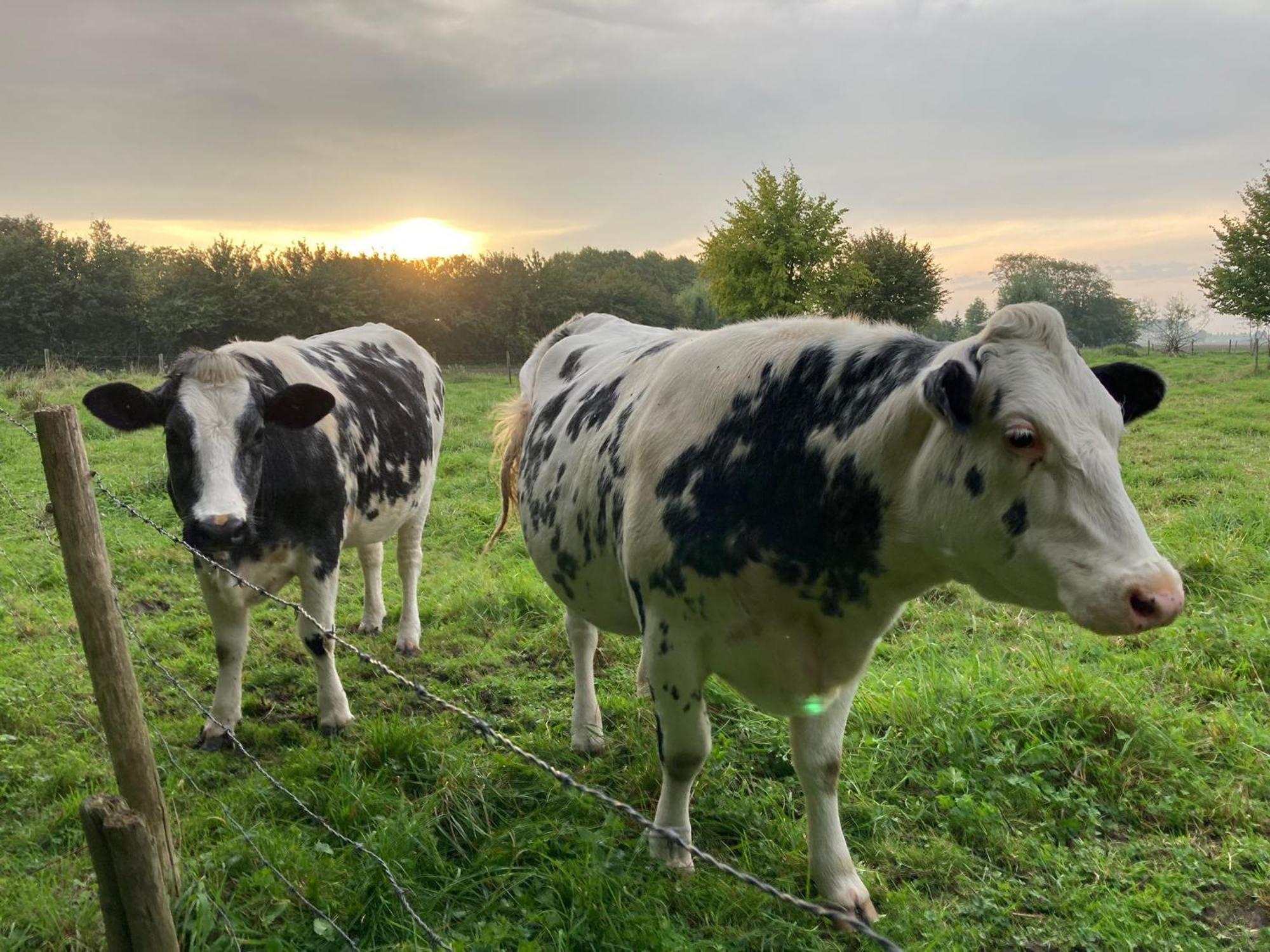 Het Karnhuis Schoondijke Esterno foto